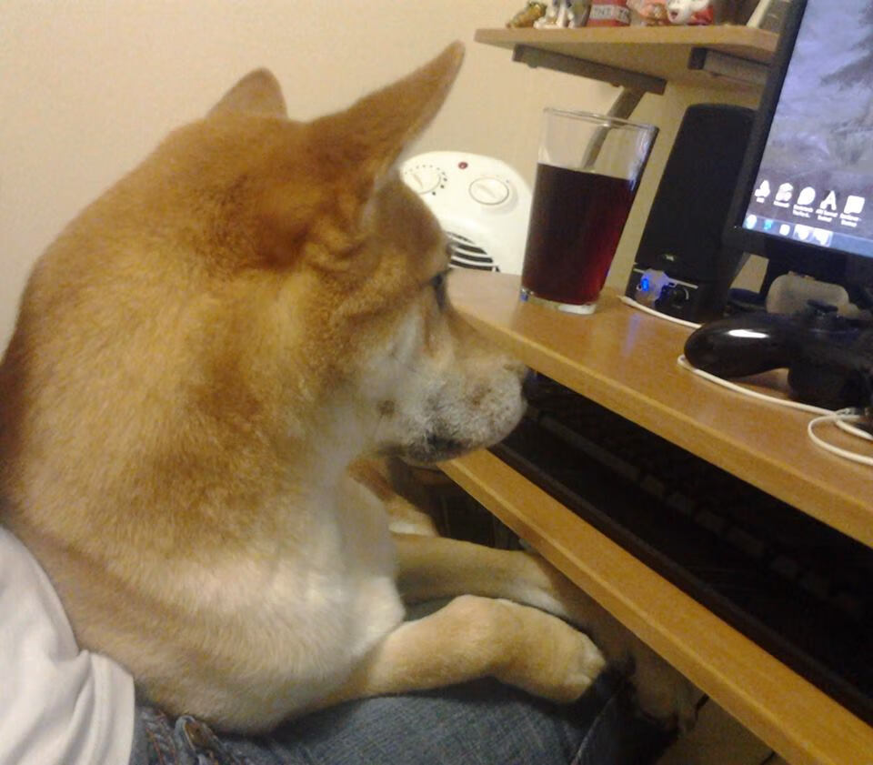 终场绝杀与全场统治，体育世界两种胜利哲学