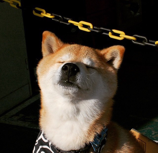 跨界王座，杜兰特魔术生死战传奇，F1新赛季揭幕战化身赛道主宰