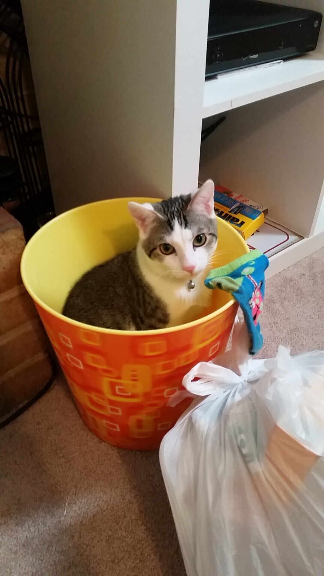 非洲雄狮的利剑出鞘，马丁内利爆发引领几内亚末节逆转挪威童话