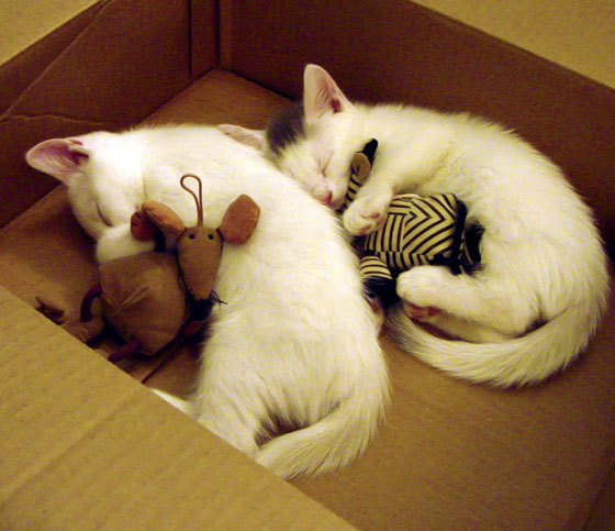 詹皇铁骑踏破防线，热火绝境逆转马刺！