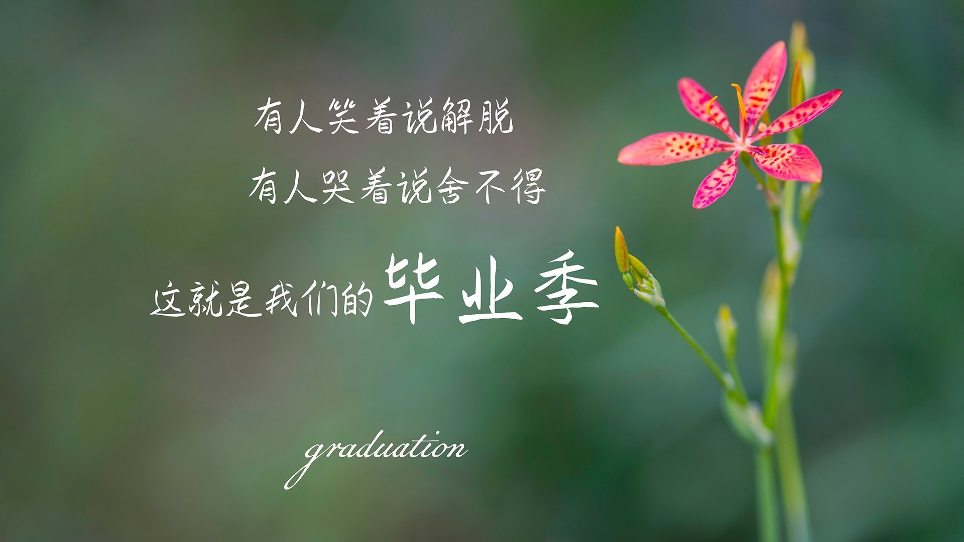 三分暴雨对撼禁区之王,勇士火力全开压制步行者,锡安独木难支主宰走向