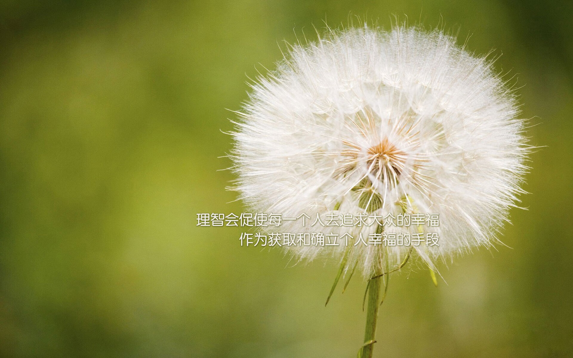 拉梅洛·鲍尔关键时刻力挽狂澜，活塞加时险胜篮网