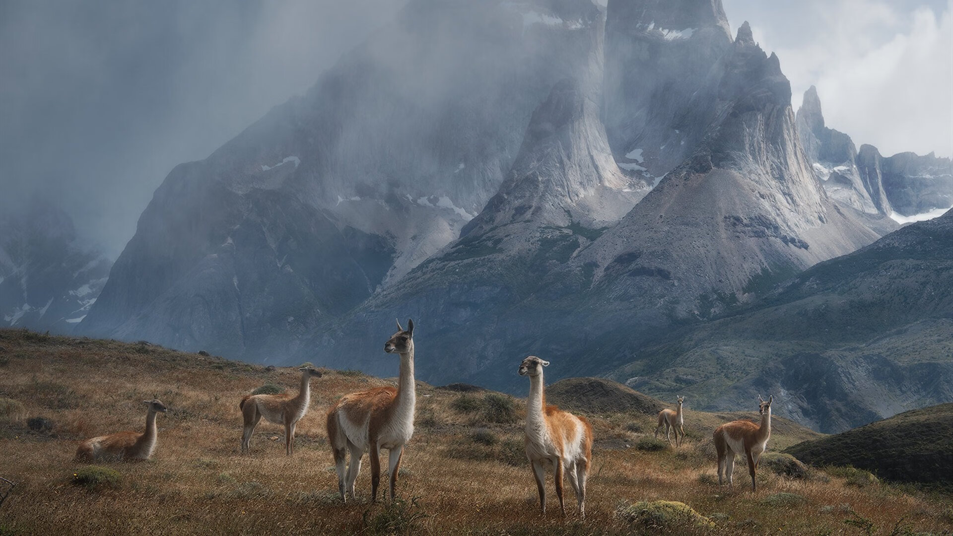 当江南风骨席卷奥兰多，浙江男篮教会NBA什么叫中国式团队篮球